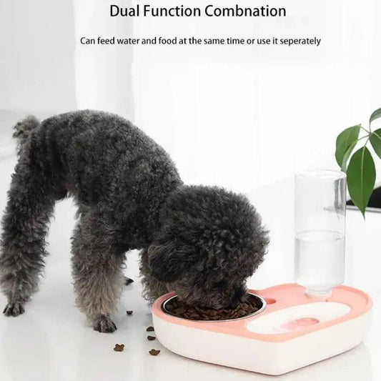 2 In 1 Pet dog cat water food bowl set easy clean non-spill detachable automatic water dispenser and stainless steel pet bowl