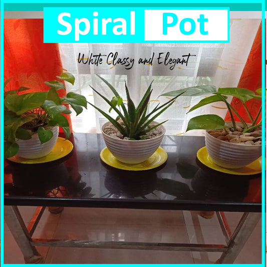 Plastic Pots for Plant Small Medium Large / Pots for Plants on Sale Whole Sale / for Indoor Plants and Flowers