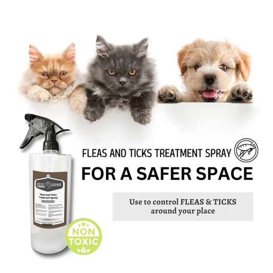 Pest Gone Fleas & Ticks Treatment Spray 1000 ml Odorless Insecticide Solution for Home, Pets, Dogs, Cats Refill Pouch and Sprayer Bottle