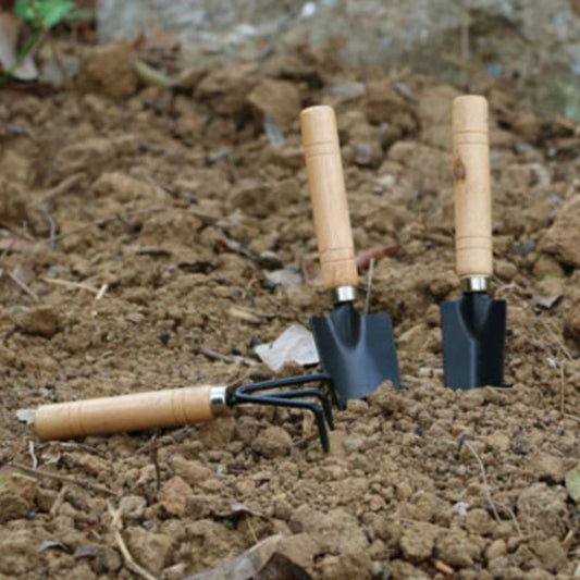 Mini Gardening Tools Set - Small Shovel, Rake & Trowel with Wooden Handle for Home & Plant Care
