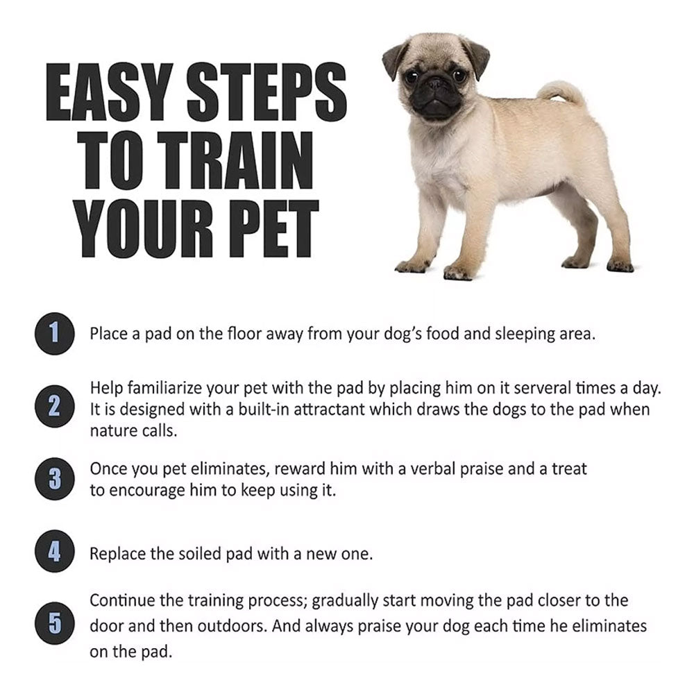 Super Absorbent Pet Training Pee Pads 60x60cm – Leakproof, Odor Control, Quick Dry for Dogs & Cats