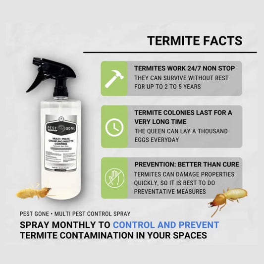 Pest Gone Termite Control Spray 1000 ml Sprayer Bottle