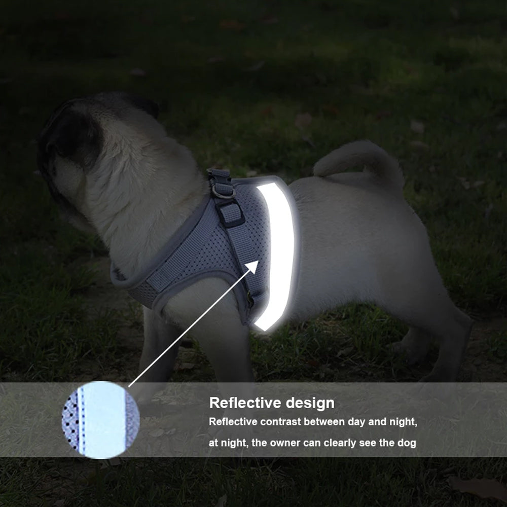 Adjustable Breathable Pet Harness with Leash for Small Dogs & Cats - No Pull Vest, Reflective Safety Design