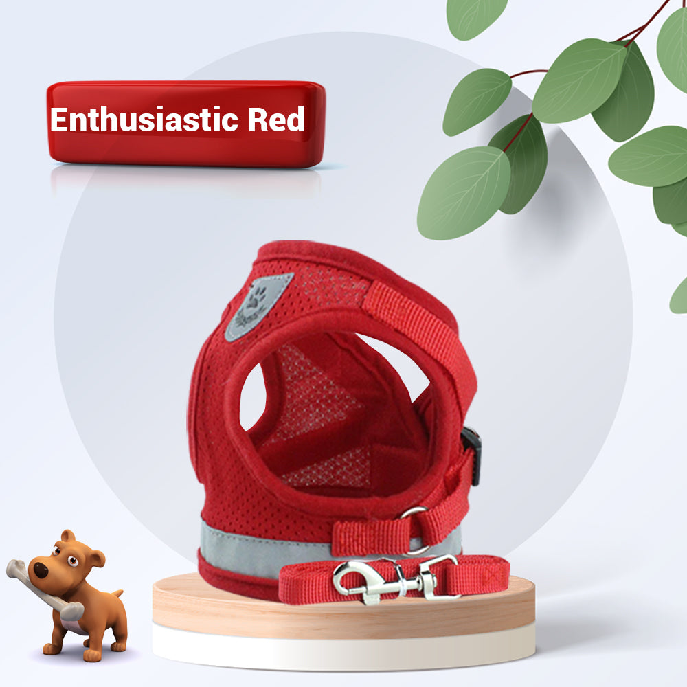 Adjustable Breathable Pet Harness with Leash for Small Dogs & Cats - No Pull Vest, Reflective Safety Design