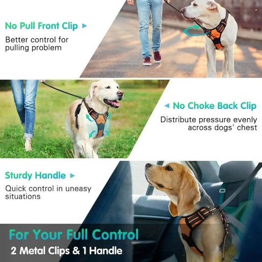 Dog Harness & Leash Adjustable Collar Leash Pet Leads Reflective & Breathable for Medium & Large Dog