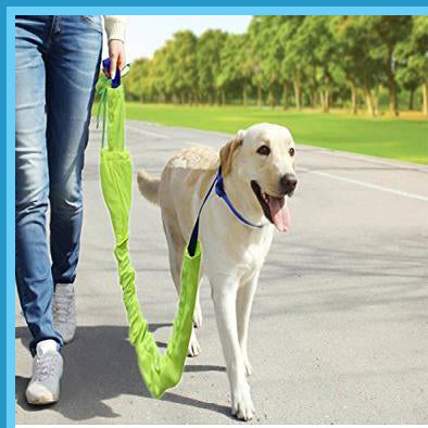 Heavy-Duty Dog Tie Out Cable with Protective Cover  Durable Leash for Outdoor Pet Safety, Tangle-Free & Weather-Resistant