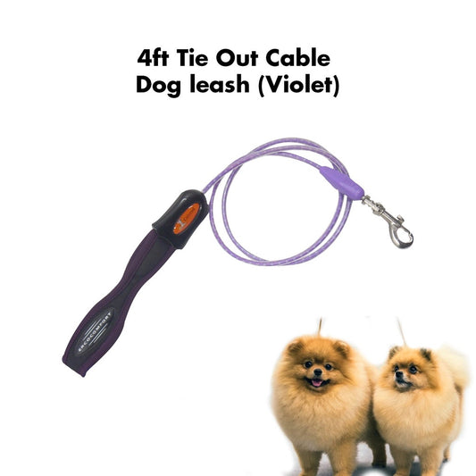 Dog Accessory 4ft Tie Out Cable Dog leash (Violet)